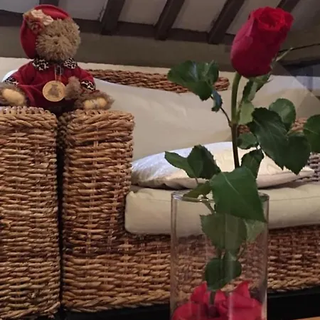 Au Coeur De Sainte Catherine アパート